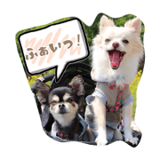 Daily-use sticker3