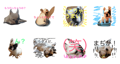 frenchieomochi