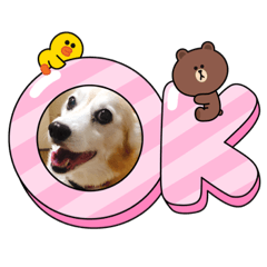 mydog will stamp