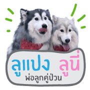 Lupang&Luney Husky Thailand