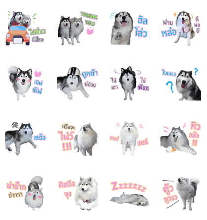 Lupang&Luney Husky Thailand