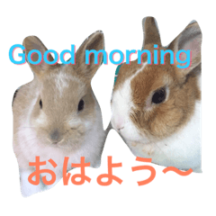 Rabbit greeting sticker U-TAN and MU-TAN