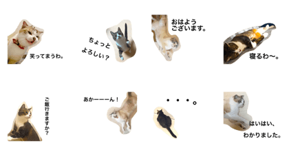 kotesuke.2