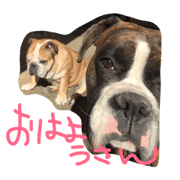 NISHI family