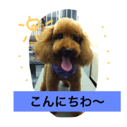 puu  love2