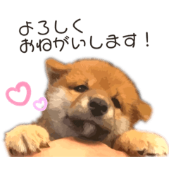 Monmon_20210728223755