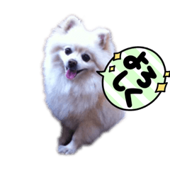 KAORI_20210728225057