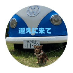 akiko_20210728230752