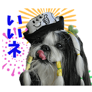 Shih Tzu ANN Sticker2