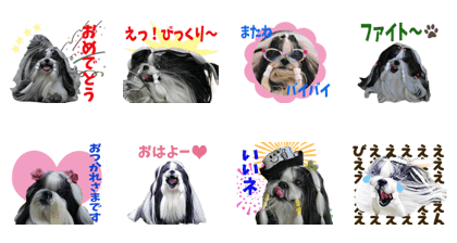Shih Tzu ANN Sticker2