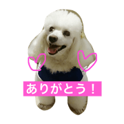 I love happy