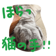 Ponzu Stamp