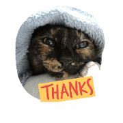 Tortoiseshell cats stamps