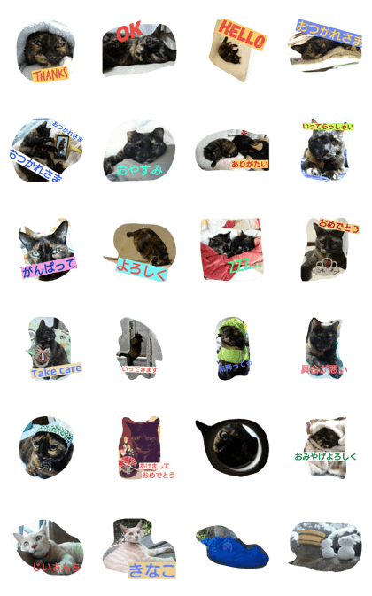 Tortoiseshell cats stamps