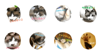 donsuke