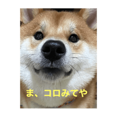konatsu_20210728232606