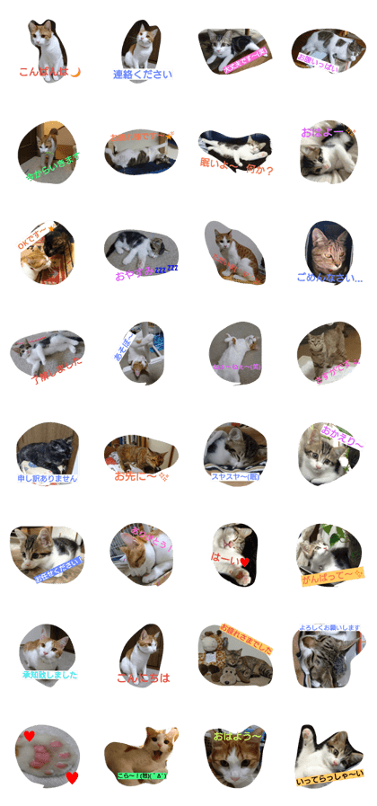 nyan2 sticker