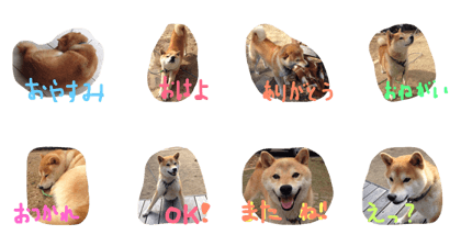 ShibaChip