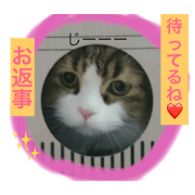 My pet u-tan 2