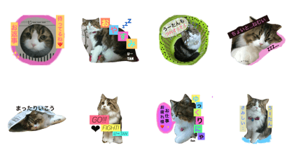 My pet u-tan 2