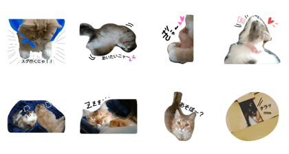 ainyan's