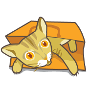 Antoine the cat