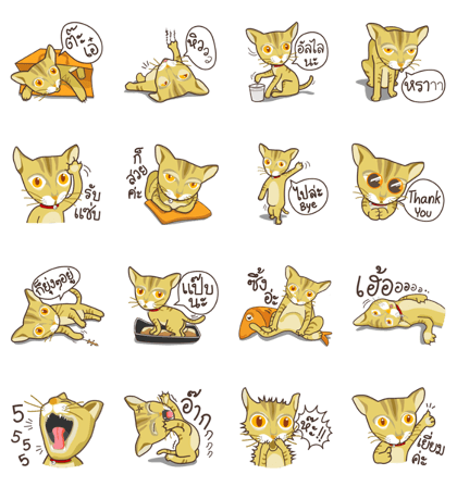 Antoine the cat