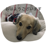 dog'nane hime!