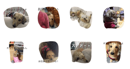 dog'nane hime!