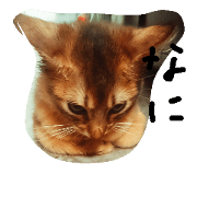 amemarusama