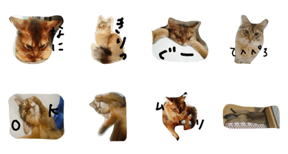 amemarusama