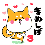 Mameshiba letter 3
