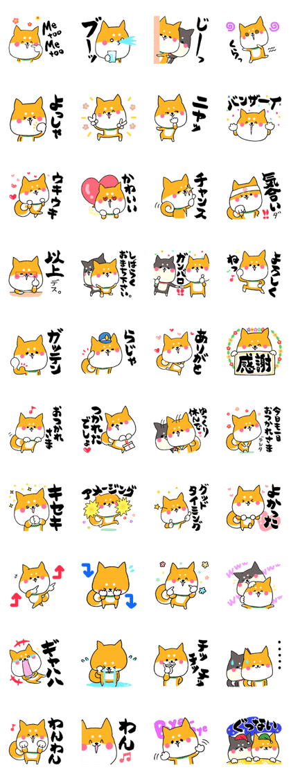 Mameshiba letter 3