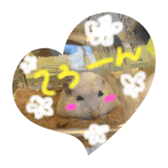yunnnnm