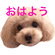 Lilo_1