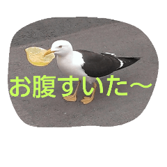 BIRD STANP