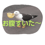 BIRD STANP