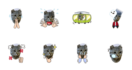 Cat Love1