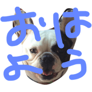 hallo omochi