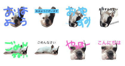 hallo omochi