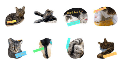 Very cute cat stamps