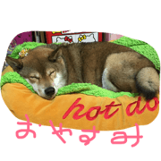 chokostnp