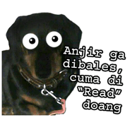 Lassy, My Beloved Dog