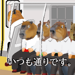 Capybara daddy14