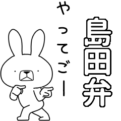 BIG Dialect rabbit[shimada]