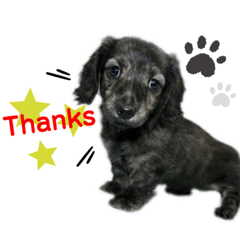 asuka_20210728224147