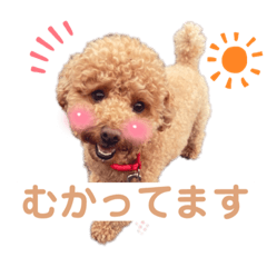 ikumi_20210728195902