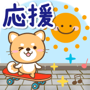Natural dog, sports support japan