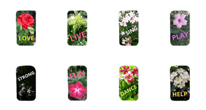 Love Flower 23