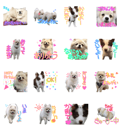 happydogs